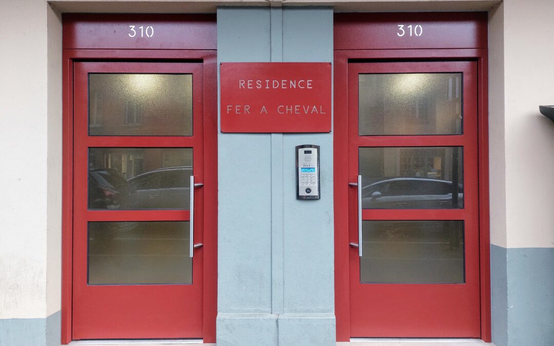 Embellissement de hall d&rsquo;entrée de copropriété à Toulouse.