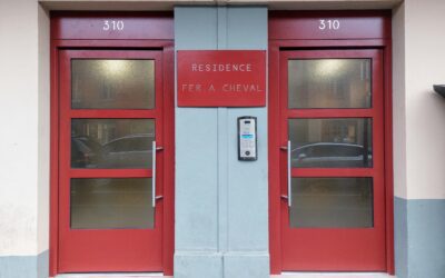Embellissement de hall d&rsquo;entrée de copropriété à Toulouse.